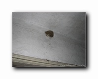 [Click to enlarge]