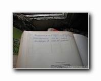 [Click to enlarge]
