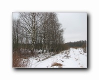 [Click to enlarge]