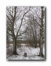 [Click to enlarge]