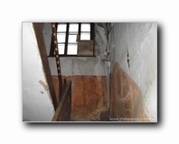 [Click to enlarge]