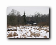 [Click to enlarge]